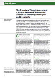 The Triangle of Wound Assessment: a holistic framework from wound assessment to management goals and treatments